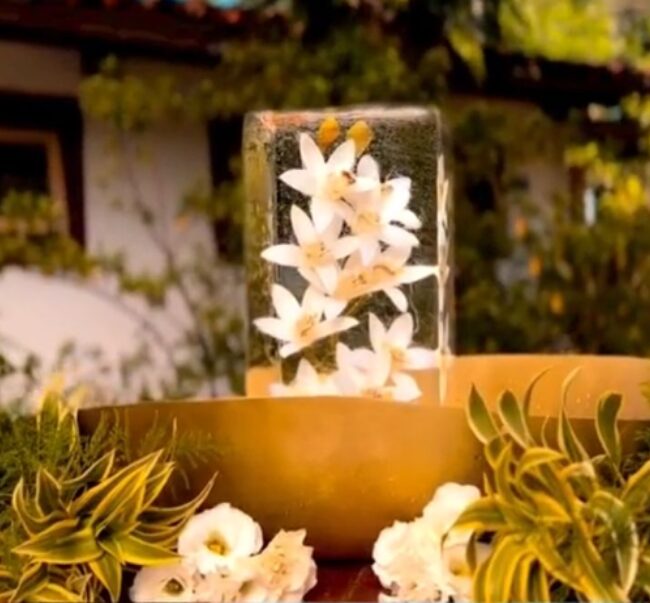 Bloco de gelo com flores em bowl dourado