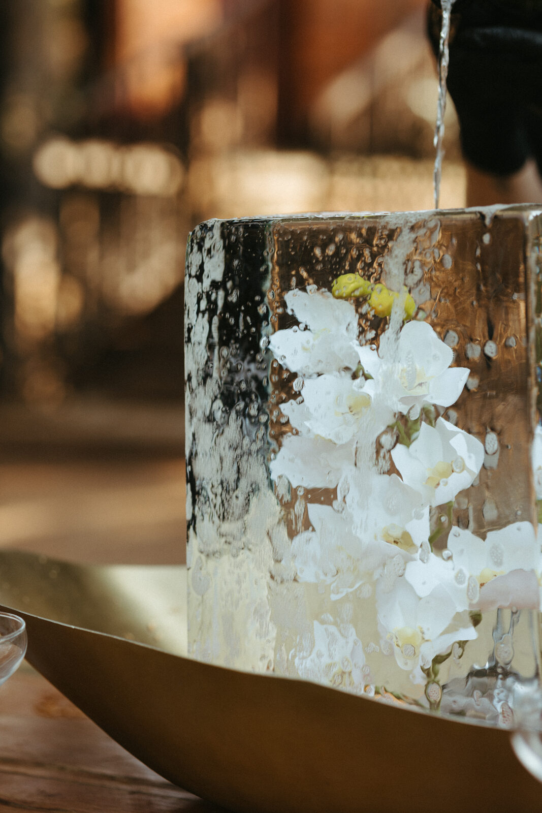 Bloco de gelo com orquídeas brancas